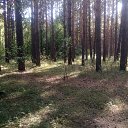 ���� Haver Santa, ���������� ����� - ��������� 28 ���� 2021 � ������ �:)�