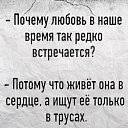 ���� �����, ���������, 72 ���� - ��������� 20 ������ 2021 � ������ ������ ��������