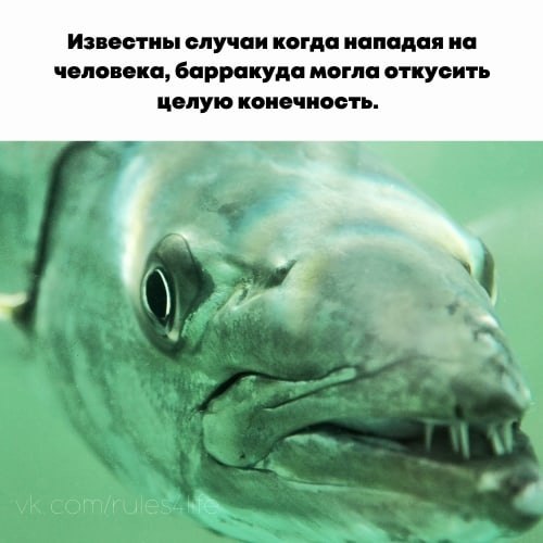 LIFE -  - 27  2021  20:02 - 2