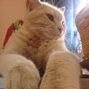 ���� Vera, �������� - ��������� 22 ������� 2021 � ������ ���� ����������