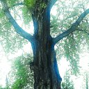���� Nusret, ����, 64 ���� - ��������� 6 ���� 2021 � ������ ������ ��������