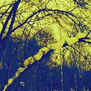 ���� �����, �����, 56 ��� - ��������� 24 ������� 2021 � ������ ���� ����������