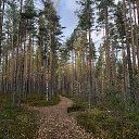���� �������, ������, 58 ��� - ��������� 30 ����� 2021 � ������ ���� ����������