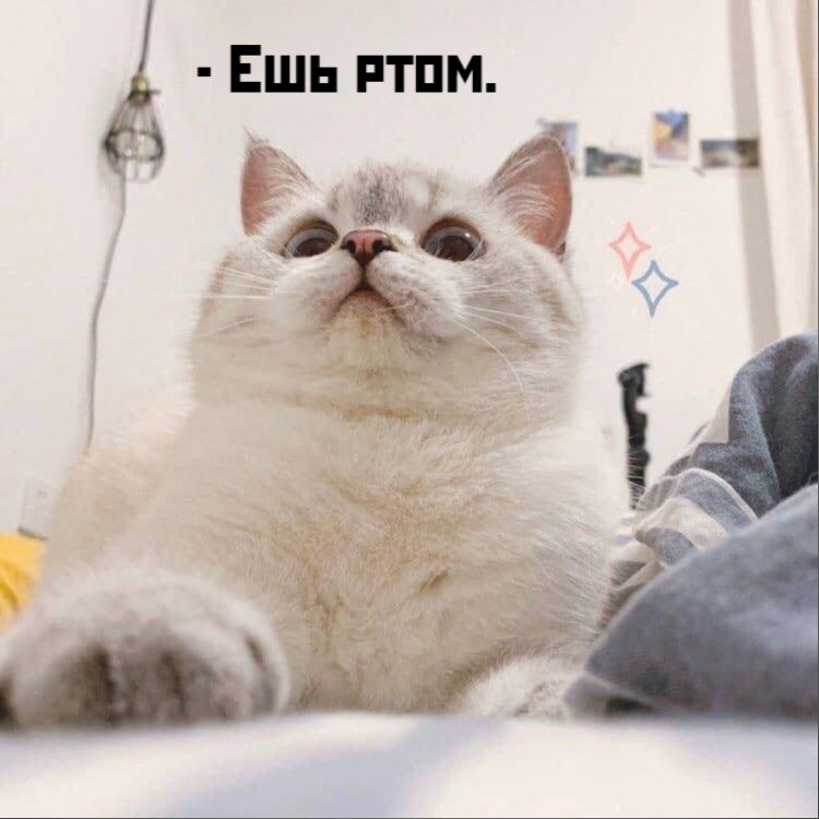       - 30  2021  19:46 - 4