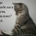 ���� ������, ������ - ��������� 13 ������� 2021 � ������ ������ ��������