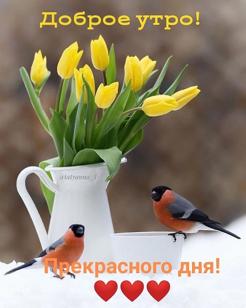 ����������� � ���������, �������� �� ������ ����. - 18 ������ 2021 � 08:47 - 9