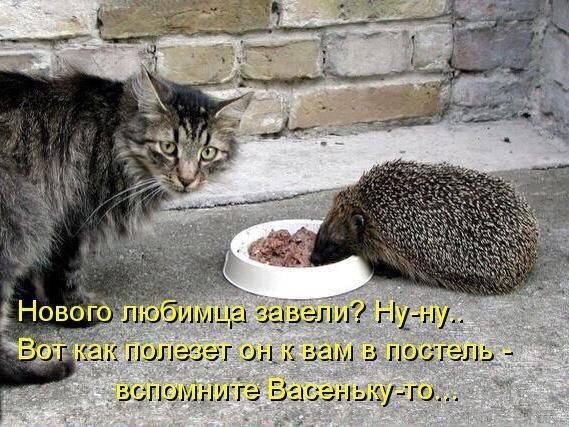 Эти забавные животные - 20 сентября 2021 в 01:20