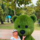 ���� ��������, ���������� - ��������� 1 ������� 2021 � ������ ���� ����������