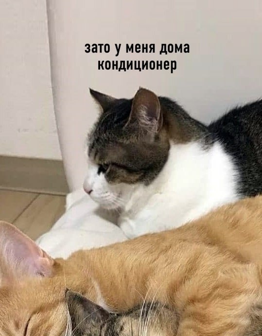        - 2