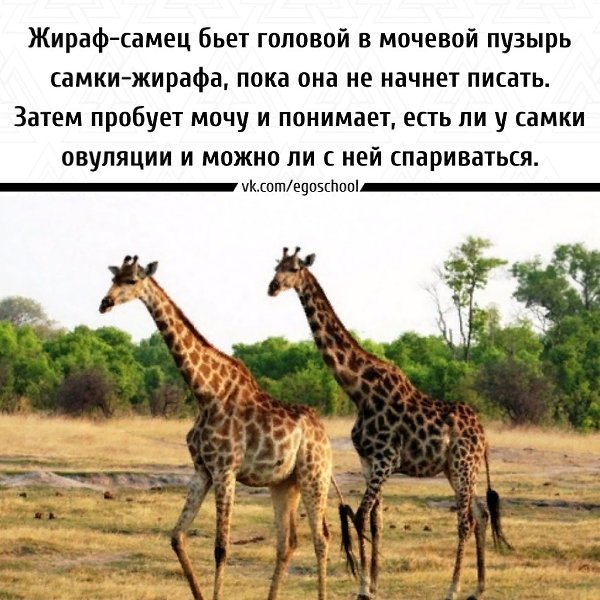  | ,  - 24  2021  14:44