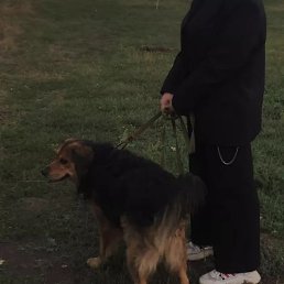 ���, ���������, 22 ����