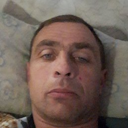 �������, ���������, 43 ����