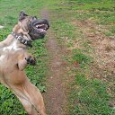 ���� ������, �����-���������, 52 ���� - ��������� 23 ��� 2021 � ������ ������ ��������