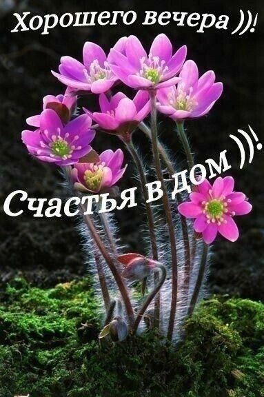 ����������� � ���������, �������� �� ������ ����. - 21 ���� 2021 � 18:35