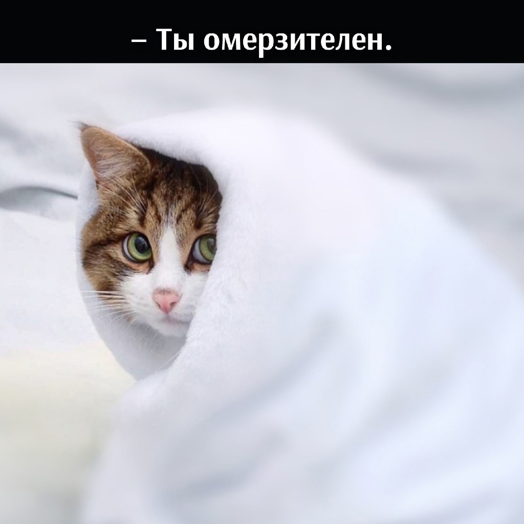       - 14  2021  22:32 - 4