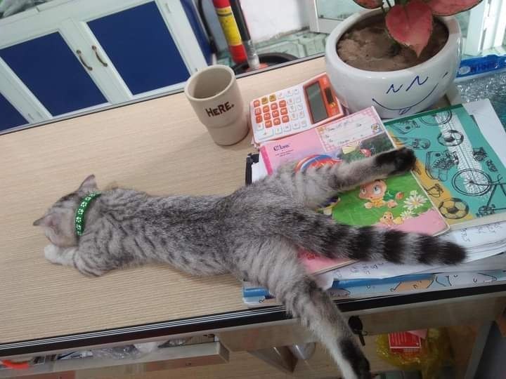   !..   !!!...        ...