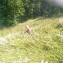 ���� ���� �������, ����-���, 65 ��� - ��������� 15 ������� 2021 � ������ ���� ����������