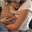 ���� Lynx, �������������� - ��������� 31 ������� 2021