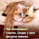 ���� �����, ���������, 35 ��� - ��������� 27 ���� 2021 � ������ ���� ����������