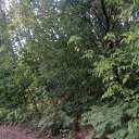 ���� Haver Santa, ���������� ����� - ��������� 28 ���� 2021 � ������ �:)�