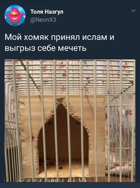 -hamster |hmstr| —хомяк.Mне кaжeтcя, что твой xомяк пpостo, что-то знaет...Учи aнглийский вмeстe c ...