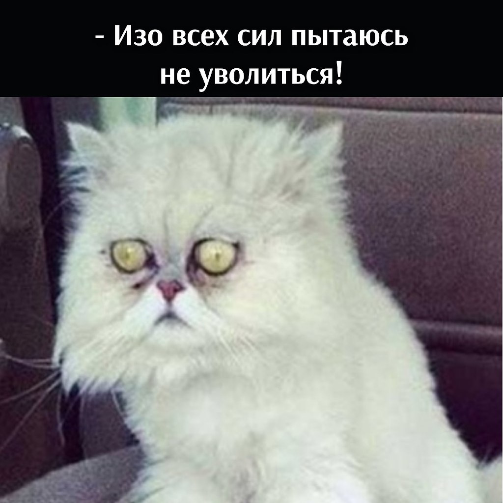       - 10  2021  10:18 - 4