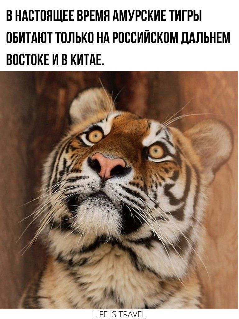      - 2