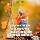 ���� �����, ����������-���������, 55 ��� - ��������� 16 �������� 2021 � ������ ������ ��������