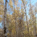  , , 75  -  27  2021    -    .    !