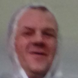 �������, ����, 49 ���