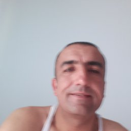 ����, ���������, 46 ���