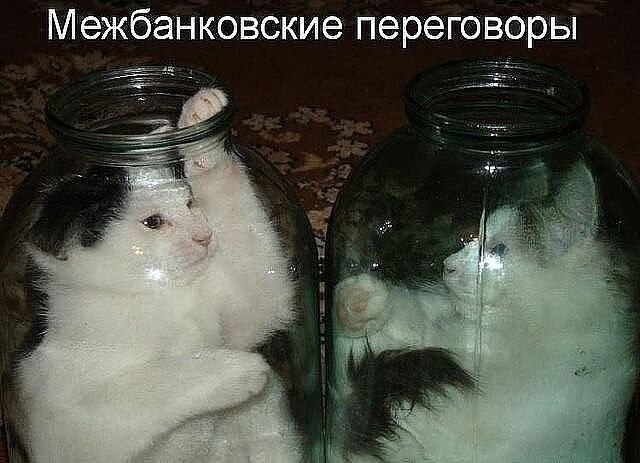    - 15  2021  14:30
