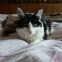 ���� Sergey, ����-�����������, 49 ��� - ��������� 21 ���� 2021 � ������ ���� ����������