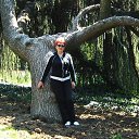 ���� �����, �������� - ��������� 19 ��� 2021 � ������ ���� ����������