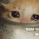 ���� Ҹ��, ����, 35 ��� - ��������� 3 ���� 2021
