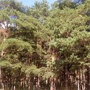 ���� Haver Santa, ���������� ����� - ��������� 28 ���� 2021 � ������ �:)�