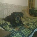 ���� ���������, ��� - ��������� 21 ������ 2021 � ������ ���� ����������