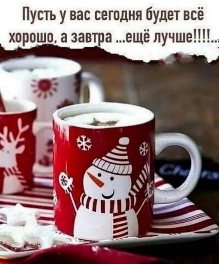  - 21  2021  06:41
