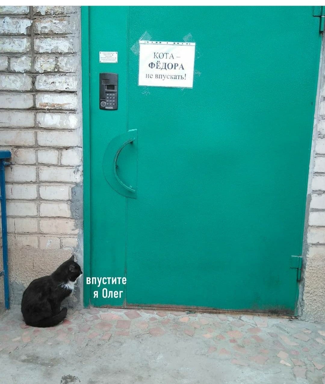 �������� - 14 ��� 2021 � 22:16