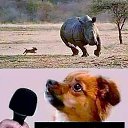 ���� ��������., �����-���������, 64 ���� - ��������� 4 ������� 2021 � ������ ���� ����������