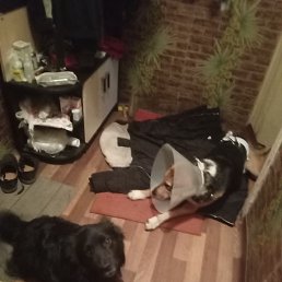 ���� ������, �����, 47 ��� - ��������� 3 ������ 2022