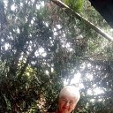  Vitalina,  -  10  2021    