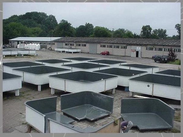 Èäeÿ ìaëoão áèçíeca: paçâeäeíèe paêoâ. Ía÷aëüíûe âëoæeíèÿ: 200 òûc. póá. Ïpèáûëü oò ïpèïëoäa paêoâ: ... - 3