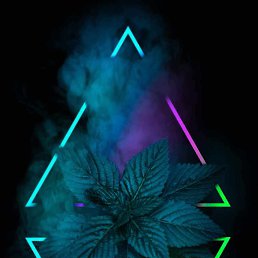 ���� Alex, �����������, 44 ���� - ��������� 18 ��� 2021