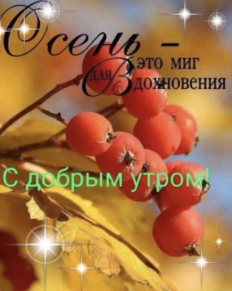 ***Victoria Viktorovna*** - 17  2021  05:44