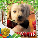 ���� �������, ������-��-����, 54 ���� - ��������� 18 ������� 2021 � ������ ���� ����������