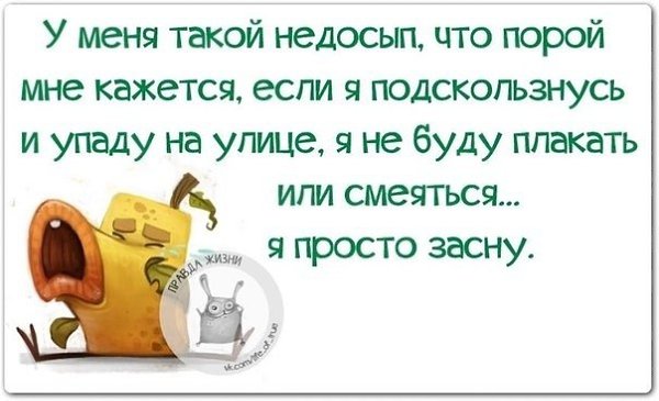������ ����� - 20 ������ 2021 � 23:22