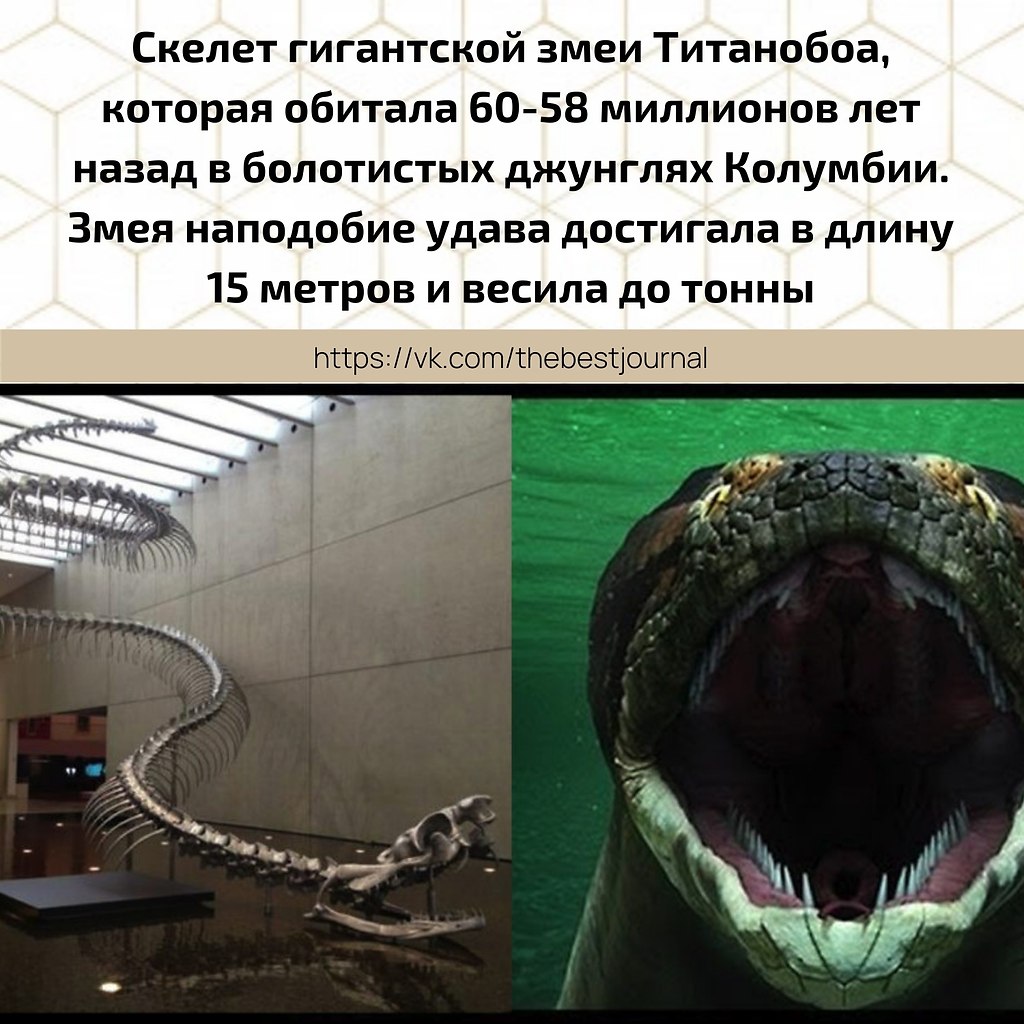 BEST | , ,  - 2  2021  14:22