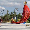���� ������, �����, 71 ��� - ��������� 7 ���� 2021 � ������ ������ ������� ������