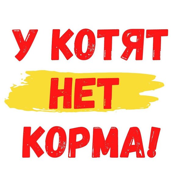 ПИЩАЛКИ ПРОСЯТ ПАШТЕТОВ! Вот такое хорошенькое семейство сейчас находится на передержке и таких ...